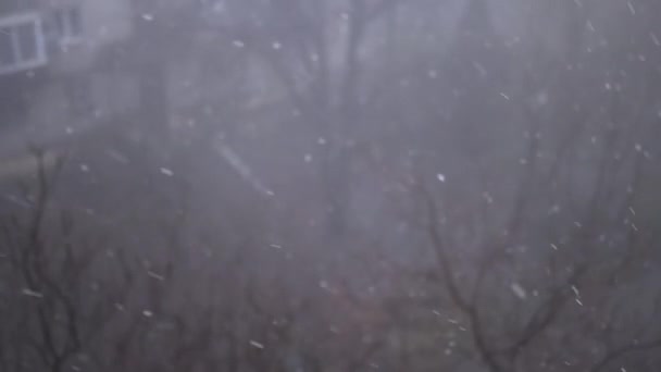 Вид Окна Сильный Снегопад Дворе Многоэтажных Зданий Падающие Снежинки Снег — стоковое видео