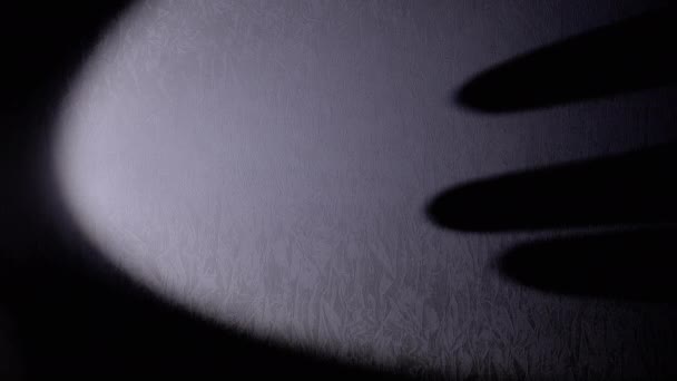 Shadow Long Black Fingers Monster Wall Από Φως Ενός Φακού — Αρχείο Βίντεο