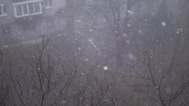 Çok katlı binaların avlusundaki Şiddetli Kar yağışlı Pencere manzarası. Yapraksız ağaçların, sisin, evlerin arka planında yağan kar taneleri, kar ve kar fırtınaları. Spot. Görüş mesafesi düşük.