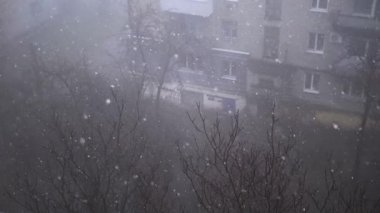 Çok katlı binaların avlusundaki Şiddetli Kar yağışlı Pencere manzarası. Yapraksız ağaçların, sisin, evlerin arka planında yağan kar taneleri, kar ve kar fırtınaları. Spot. Görüş mesafesi düşük.