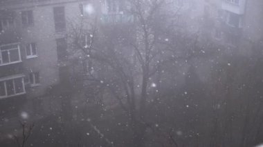 Çok katlı binaların avlusundaki Şiddetli Kar yağışlı Pencere manzarası. Yapraksız ağaçların, sisin, evlerin arka planında yağan kar taneleri, kar ve kar fırtınaları. Spot. Görüş mesafesi düşük.