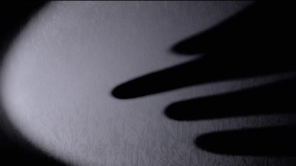 Shadow Long Black Fingers Monster Wall Από Φως Ενός Φακού — Αρχείο Βίντεο