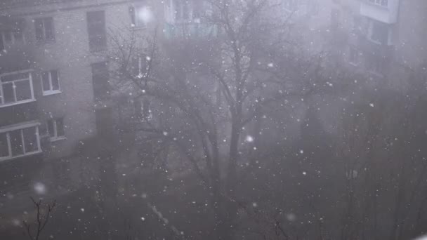 View Window Heavy Snowfall Courtyard Multistory Buildings Falling Snowflakes Snow — Vídeo de Stock