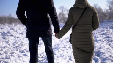 Sevgili Çift Kış Ormanı 'nda Düşen Kar Taneleri' nin Arkaplanında Yürüyor. Arkadan bak. Erkek ve dişi el ele tutuşur ve yağan karda yürümekten zevk alır. Birlikte. Arkadaşlık. Güzel kış manzarası.