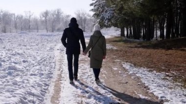 Sevgili Çift Kış Ormanı 'nda Düşen Kar Taneleri' nin Arkaplanında Yürüyor. Arkadan bak. Erkek ve kadın el ele tutuşur ve yağan karda yürüyüş yapar, yol boyunca birlikte yürürler. İlişki.