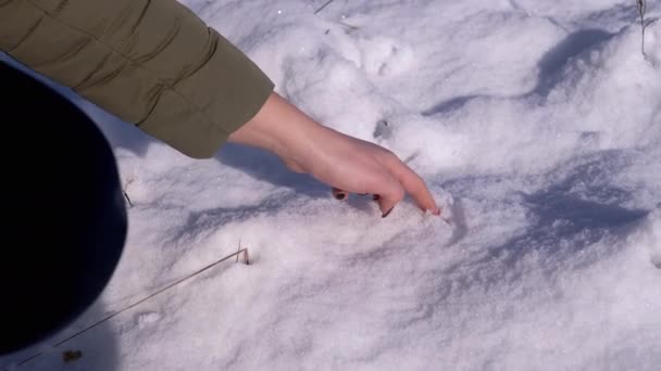 Mână Feminină Manichiură Frumoasă Desenând Inimă Zăpadă Pufoasă Albă Pădure — Videoclip de stoc