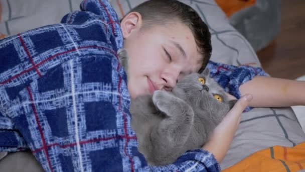 Sueño Niño Cansado Cae Dormido Cama Abrazando Gato Gris Esponjoso — Vídeo de stock