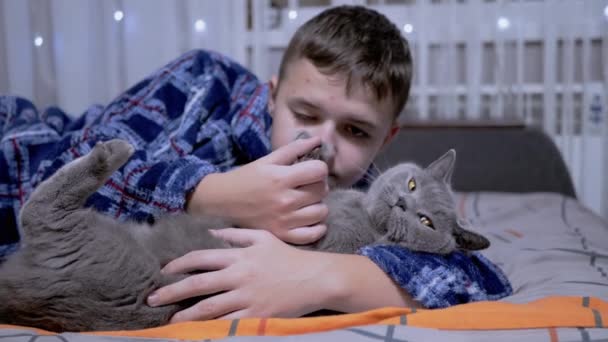Smiling Boy Playing Fluffy Grey Cat While Lying Bed Bedroom — Stock Video
