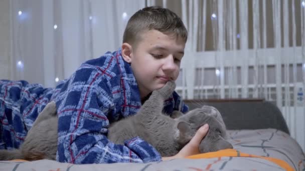 Χαμογελαστό Αγόρι Παίζει Μια Χνουδωτή Γκρι Γάτα Ενώ Βρίσκεται Στο — Αρχείο Βίντεο