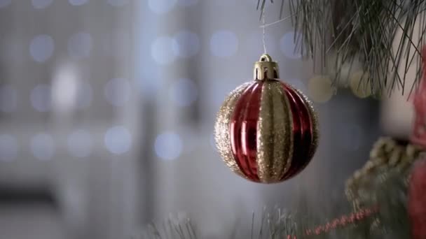 Golden Glänzende Weihnachtskugel Die Einem Fichtenzweig Auf Einem Hintergrund Aus — Stockvideo