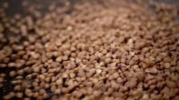 缓慢运动中的黑色背景下的荞麦谷粒 靠近点生的褐色颗粒和荞麦颗粒倒入一堆荞麦 落下来的荞麦填满了一个肉质的表面 — 图库视频影像