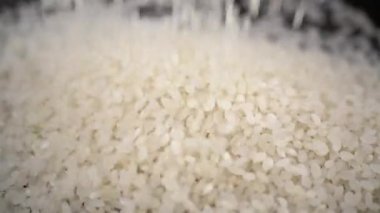 Yavaş Çekimde Düşen Beyaz Çiğ Taneler Japon pilavının yakın çekim akışı. Pirinç sosu. Dolduruluyor. Makro. Yuvarlak pirinç çeşidi. Soyut arkaplan. Yapı, hasat. Japon yemeği..