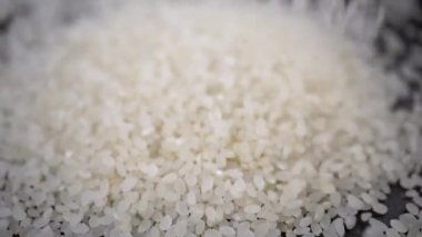 Yavaş Çekimde Düşen Beyaz Çiğ Taneler Japon pilavının yakın çekim akışı. Pirinç sosu. Dolduruluyor. Makro. Yuvarlak pirinç çeşidi. Soyut arkaplan. Yapı, hasat. Japon yemeği..
