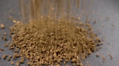 Instant Coffee Granules Fall and Scatter into a Heap on a Black Background. Slow motion. Close up. A stream of brown powder, gold particles, soluble coffee granules flies into a pile. Texture, light.