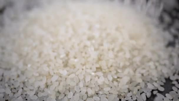 Detailní Záběr Stream Falling White Raw Grains Japonská Rýže Pomalém — Stock video