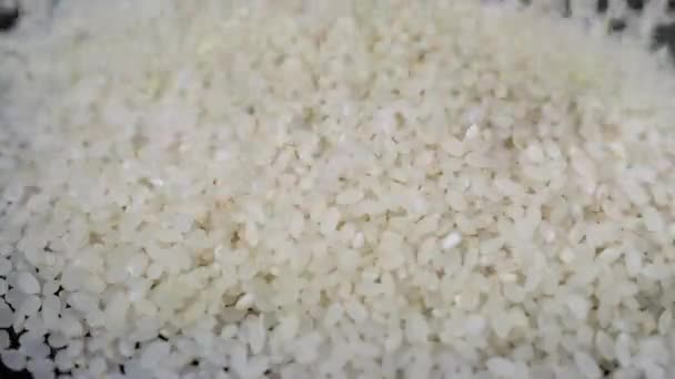 Décryptages Stream Falling White Raw Grains Japanese Rice Slow Motion — Video