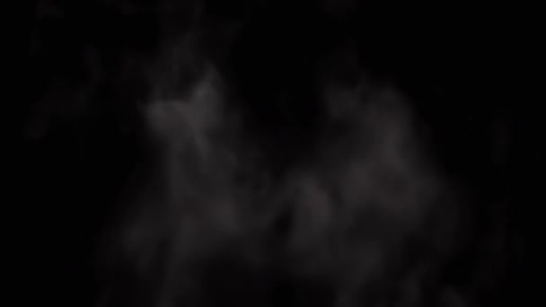 Размытые Белые Облака Дым Ледяной Густой Туман Чёрном Фоне Испарение — стоковое видео