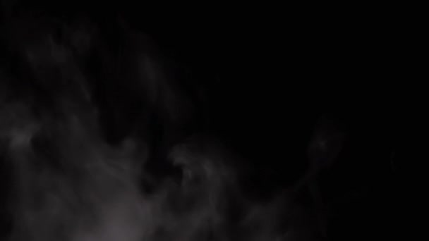 黒い背景に氷の厚い霧の上昇の白い雲 沸騰した鍋の上に水滴の蒸発 高密度の柔らかい霧の渦が空気中に溶解する 食物用蒸気 — ストック動画