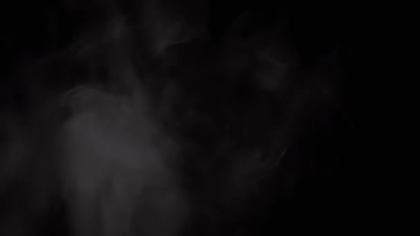 黒い背景に氷の厚い霧の上昇の白い雲 沸騰した鍋の上に水滴の蒸発 高密度の柔らかい霧の渦が空気中に溶解する 食物用蒸気 — ストック動画