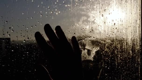 Силуэт Женской Руки Касается Туманного Влажного Окна Мерцающем Солнечном Сиянии — стоковое видео