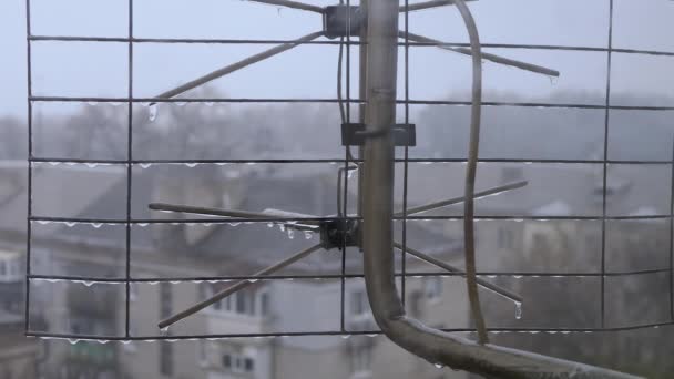 Frozen Raindrops Grating Television Antenna Background Old Homes Zavřít Rozmazané — Stock video
