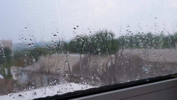Yağmur Damlaları Islak Akıyor Pencere Dışında Çiseleyen Bir Çiseleme Sırasındaki — Stok video