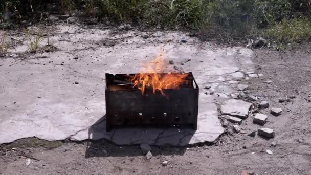 Έκοψε Καυσόξυλα Μια Φωτεινή Φλόγα Στην Ξυλόσομπα Smoke Outdoor Wood — Αρχείο Βίντεο