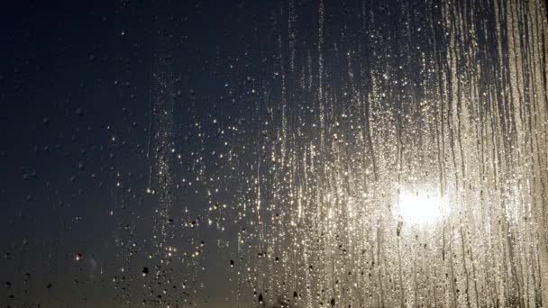 Shimmer Raindrops Flow Glass Blurred Background Golden Sunset Англійською Яскраві — стокове відео