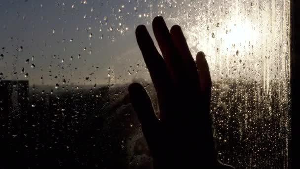 女性の手のシルエットは きらめくサングレアで霧のかかった湿った窓に触れます 太陽の光が指を通して輝きます 雨滴がガラスの下を走る 太陽光のために腕が届く 戦争孤独希望 — ストック動画