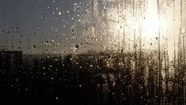 穏やかな雨滴が金色の夕日の背景にガラスを流れ落ちます 太陽の明るい黄金の光線は雨の日に窓を照らす 光沢のある水滴がシルエットになっています — ストック動画