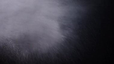 Karışık Su Parçacıkları 'nın patlaması, Kara Arkaplanda Toz. Çarpışan buzlu su damlalarının dinamik akımları, beyaz toz rastgele dönüyor, dönüyor, dönüyor, süzülüyor, uzayda düşüyor. Fırtına, rüzgar. Öfke.