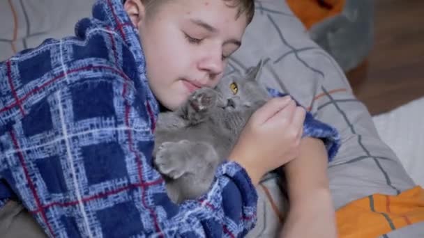 Sleepy Child Hugging Playing Fluffy Cat Lying Bed Bedroom Close — Stock Video