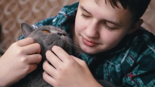 Yaklaş Pijamalı Bakıcı Çocuk Gri Ngiliz Yumoş Kediyi Kucaklıyor Portre — Stok video