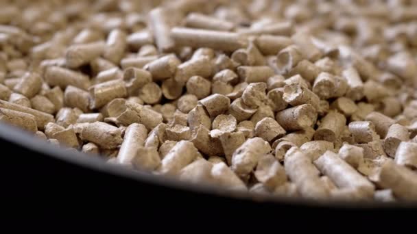 Close Granules Pressed Wooden Sawdust Rotating Background Biofuel Natural Organic — Stock Video