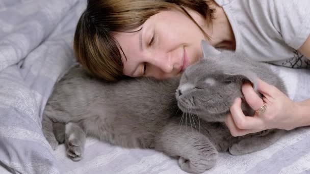 女孩抱着一只灰蒙蒙的英国猫躺在房间里柔软的床上 快乐的女人在心爱的宠物旁边休息 抚摸它 抓挠它 与宠物的爱 感情和友谊 — 图库视频影像