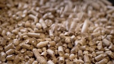 Ezilmiş Tahta talaşının granülleri Dönen Arkaplanda Pelletler Yığını 'na düşüyor. Kapatın. Biyoyakıt, doğal organik kedi kumu. Dolduruyorum. Cipsler, briketler. Yenilenebilir enerji. Doku. Ağır çekim. Döngü.