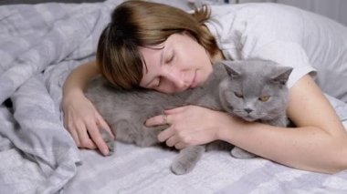 Odada Yumuşak Yatakta Yatarken Gri Yumuşak İngiliz Kedisine Kucaklayan Kız. Mutlu kadın sevgili hayvanın yanında dinleniyor, okşuyor ve kaşınıyor. Sevgi, ilgi, şefkat ve evcil hayvanlarla arkadaşlık.