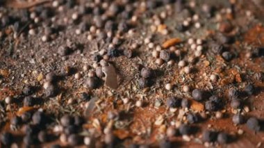 Renkli Baharatların Dönen Ahşap Arkaplanda Kurutulmuş Baharatlar Şelalesi. Kapatın. Ağır çekim. Dağınık Hint baharatı karışımı, siyah biber, zerdeçal, paprika, kişniş, kekik. Arkaplan, doku.