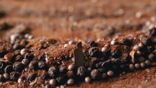 페퍼톤스의 혼합물은 Dried Spices 의흔들리는 배경에 계절에 검은색 붉은색의 파프리카 — 비디오