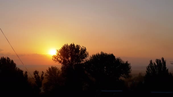 Sylwetka Drzew Tle Niesamowitego Pomarańczowego Wschodu Słońca Czas Ucieka Promienie — Wideo stockowe