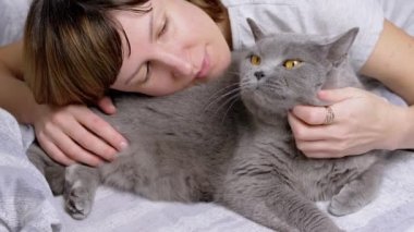 Odada Yumuşak Yatakta Yatarken Gri Yumuşak İngiliz Kedisine Kucaklayan Kız. Mutlu kadın sevgili hayvanın yanında dinleniyor, okşuyor ve kaşınıyor. Sevgi, ilgi, şefkat ve evcil hayvanlarla arkadaşlık.