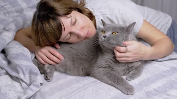 Chica Abrazando Gris Esponjoso Gato Británico Mientras Está Acostado Una — Vídeo de stock