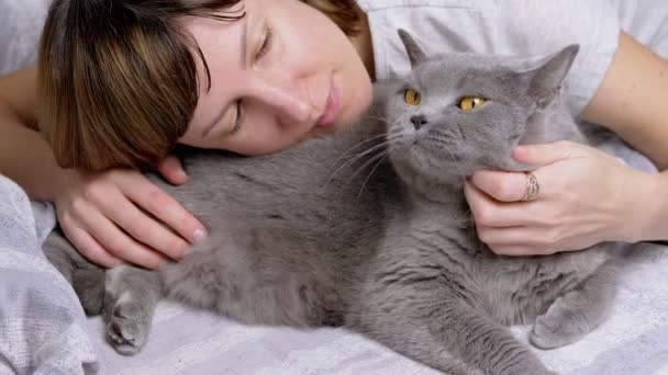 Fata Îmbrățișând Pisică Britanică Pufoasă Gri Timp Află Pat Moale — Videoclip de stoc