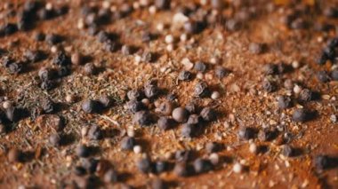 Renkli Baharatların Dönen Ahşap Arkaplanda Kurutulmuş Baharatlar Şelalesi. Kapatın. Ağır çekim. Dağınık Hint baharatı karışımı, siyah biber, zerdeçal, paprika, kişniş, kekik. Arkaplan, doku.