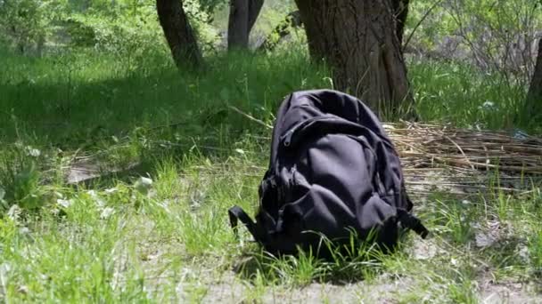 近距离观察 旅行背包躺在森林中的绿色草丛中 孤立无援阳光 没有人 黑色徒步旅行背包 积极的生活方式的概念 — 图库视频影像