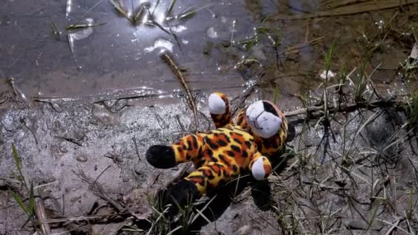 Lost Soft Toy Tiger Leży Mokrej Piasku Brzegu Rzeki Pobliżu — Wideo stockowe
