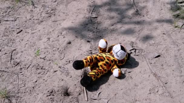 Lost Soft Toy Tiger Cub Leży Brudnej Piasku Wśród Trawy — Wideo stockowe