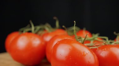 Yaklaş, Olgun Islak Kırmızı Domatesler ve Su Damlaları Kara Arkaplanda Dönüyor. Boşluk. Bir sürü yeşil dallı olgun taze domates. Yansıma, ışık, parıltı. Sebze hasadı. Makro.