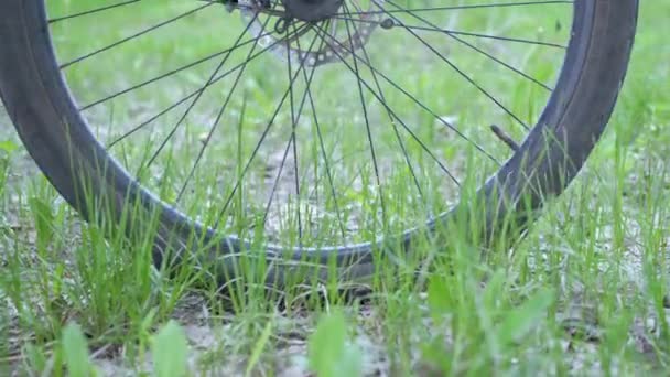 Close Tired Tourist Rolls Bike Green Grass Wheel Movement Components — Stock Video