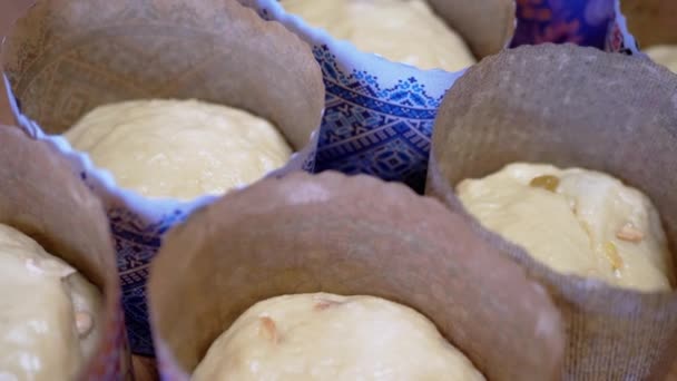 Ciasto Drożdżowe Rodzynkami Ciasto Wielkanocne Pergaminie Papierowe Danie Pieczenia Świeże — Wideo stockowe